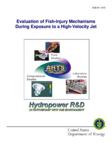 DOE/IDEvaluation of Fish-Injury Mechanisms During Exposure to a High-Velocity Jet  Evaluation of Fish-Injury Mechanisms