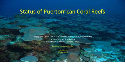 Status of Puertorrican Coral Reefs  Jorge (Reni) Garcia-Sais, Stacey Williams, Rene Esteves, Jorge Sabater, Milton Carlo, Ali Ahrizhebani Department of Marine Sciences, UPRM Coral Reef Task Force Meeting