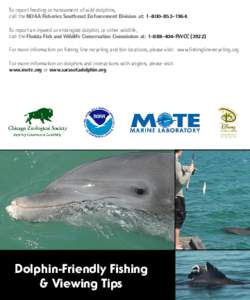 To report feeding or harassment of wild dolphins, call the NOAA Fisheries Southeast Enforcement Division at: To report an injured or entangled dolphin, or other wildlife, call the Florida Fish and Wildlif