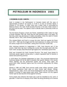 Microsoft Word - Indonesia inglés 2003.doc