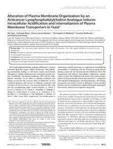 THE JOURNAL OF BIOLOGICAL CHEMISTRY VOL. 288, NO. 12, pp. 8419 –8432, March 22, 2013 © 2013 by The American Society for Biochemistry and Molecular Biology, Inc. Published in the U.S.A. Alteration of Plasma Membrane Or