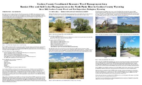Goshen County Coordinated Resource Weed Management Area Russian Olive and Salt Cedar Management on the North Platte River in Goshen County Wyoming Steve Brill, Goshen County Weed and Pest Supervisor, Torrington, Wyoming 