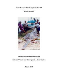 This report summarizes the biological information gathered for an Endangered Species Act (ESA) status review for the largetooth sawfish (Pristis perotteti)