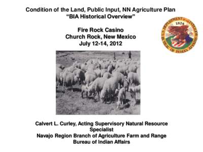 Condition of the Land, Public Input, NN Agriculture Plan “BIA Historical Overview” Fire Rock Casino Church Rock, New Mexico July 12-14, 2012