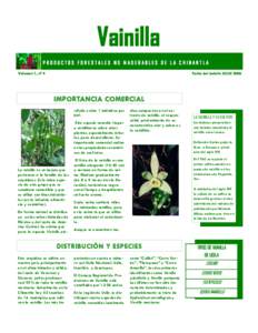 Vainilla PRODUC TOS FORES TALES NO M ADER AB LES DE LA C HINAN TLA Volumen 1, nº 4 Fecha del boletín JULIO 2006