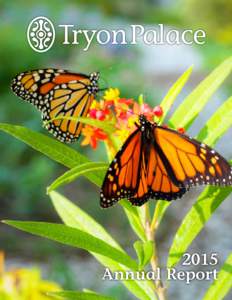 2015 Annual Report From the Foundation B
