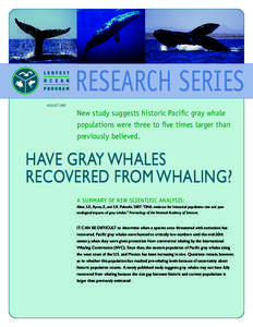 RESEARCH SERIES AUGUST 2007 New study suggests historic Pacific gray whale populations were three to five times larger than previously believed.