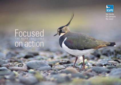 for birds for people for ever Focused THE RSPB 2001–2002
