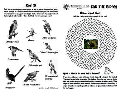 Bird ID Birds can be identifyed by size and shape, as well as color or field markings (spots, stripes, eyerings, etc.). Some birds have distinctive ways of flying, like Gila woodpeckers; others have a call or song you’