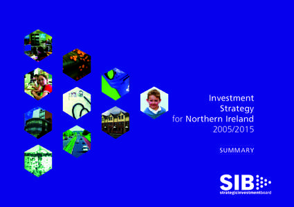 Investment Strategy for Northern IrelandSUMMARY