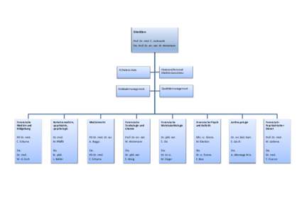Direktion Prof. Dr. med. C. Jackowski Stv. Prof. Dr. rer. nat. W. Weinmann IT/Datenschutz