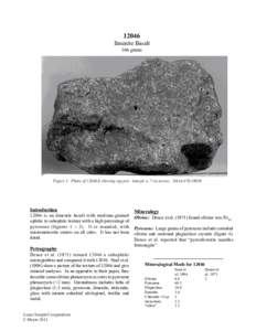 12046 Ilmenite Basalt 166 grams Figure 1: Photo of 12046,0 showing zap pits. Sample is 7 cm across. NASA S70-19036.