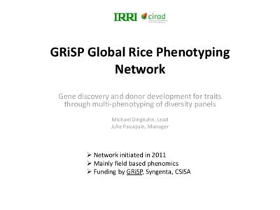 GRiSP Global Rice Phenotyping Network Gene discovery and donor development for traits through multi-phenotyping of diversity panels Michael Dingkuhn, Lead Julie Pasuquin, Manager