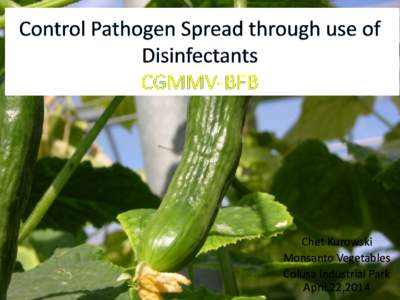 Chet Kurowski Monsanto Vegetables Colusa Industrial Park April 22,2014  What is a Disinfectant?