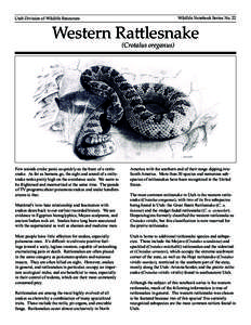 Western Rattlesnake 5 web version.indd