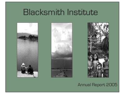 BI Annual Report 2005.indd