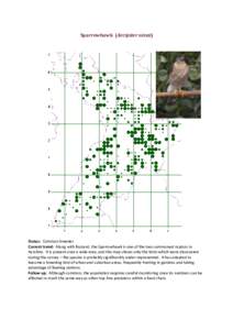 Sparrowhawk (Accipiter nisus)  Status: Common breeder Current trend: Along with Buzzard, the Sparrowhawk is one of the two commonest raptors in Ayrshire. It is present over a wide area, and the map shows only the birds w