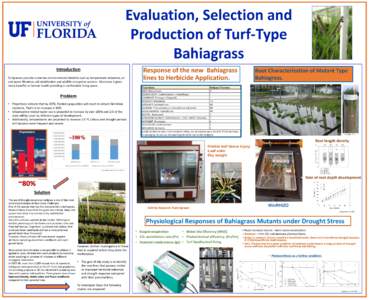 Evaluation, Selection and Production of Turf-Type Bahiagrass Introduction Turfgrasses provide numerous environmental benefits such as temperature reduction, air and water filtration, soil stabilization and wildlife ecosy