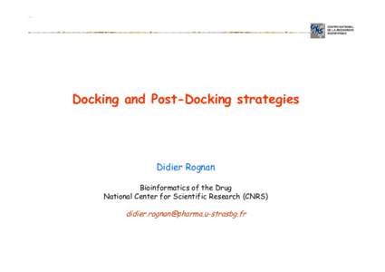 CENTRE NATIONAL DE LA RECHERCHE SCIENTIFIQUE Docking and Post-Docking strategies