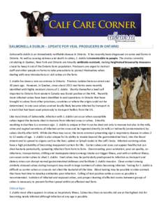 Cattle / Livestock / Food and drink / Agriculture / Milk / Beef / Veal / Calf / Raw milk / Animal virology / Bovine virus diarrhea / Dairy cattle