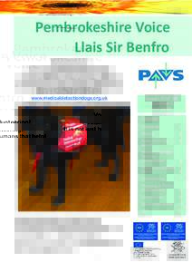 Pembrokeshire Voice Llais Sir Benfro Volunteering! It is not just humans that help!  This trained Medical Alert Assistance Dog can