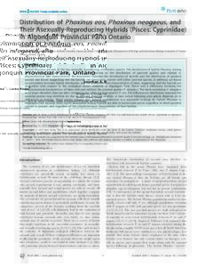 Distribution of Phoxinus eos, Phoxinus neogaeus, and Their Asexually-Reproducing Hybrids (Pisces: Cyprinidae) in Algonquin Provincial Park, Ontario Jonathan A. Mee1*, Locke Rowe2 1 Department of Zoology, University of Br