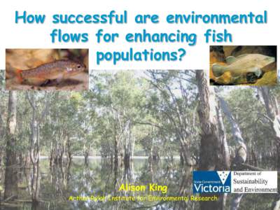 How successful are environmental flows for enhancing fish populations? Alison King Arthur Rylah Institute for Environmental Research