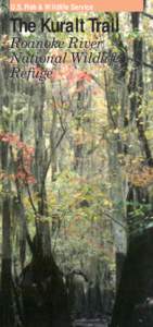 Taxodium distichum / Geography of the United States / Ecology / Biogeography / Mississippi lowland forests / Lake Ophelia National Wildlife Refuge / Forest ecology / Roanoke River National Wildlife Refuge / Bottomland hardwood forest