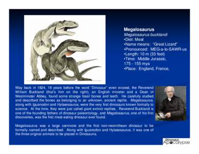 Megalosaurus Megalosaurus bucklandi •Diet: Meat •Name means: “Great Lizard” •Pronounced: MEG-a-lo-SAWR-us •Length: 10 m (33 feet)