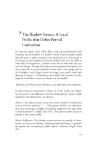 8 The Shadow System: A Local Public that Deﬁes Formal Institutions In Cintron’s Angels’ Town: Chero Ways, Gang Life and Rhetorics of the Everyday, the local public is a shadow system where everyday people demand re