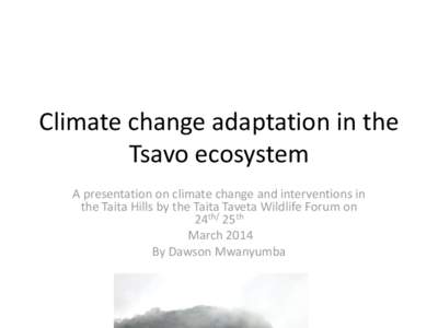 Climate change adaptation in the Tsavo ecosystem A presentation on climate change and interventions in the Taita Hills by the Taita Taveta Wildlife Forum on 24th/ 25th March 2014