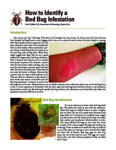 How to Identify a Bed Bug Infestation Dini M. Miller, Ph.D., Department of Entomology, Virginia Tech Introduction You cannot just “get” bed bugs. They have to be brought into your home. So what is your first clue tha