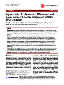 Agnoprotein of polyomavirus BK interacts with proliferating cell nuclear antigen and inhibits DNA replication
