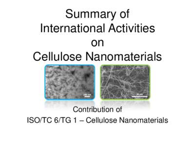 Summary of International Activities on Cellulose Nanomaterials  200 nm