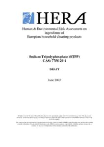 STPP HH ENV Risk assessment draft June 2003