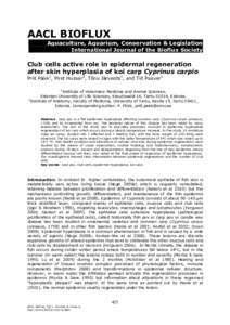 AACL BIOFLUX Aquaculture, Aquarium, Conservation & Legislation International Journal of the Bioflux Society Club cells active role in epidermal regeneration after skin hyperplasia of koi carp Cyprinus carpio