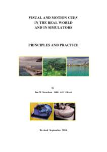 VISUAL AND MOTION CUES IN THE REAL WORLD AND IN SIMULATORS PRINCIPLES AND PRACTICE