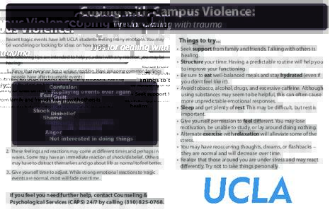 UCLA Campus Violence halfsheet