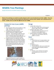 Wildlife Tree Plantings Design and placement of wildlife friendly tree plantings