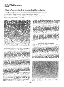 Proc. Nat. Acad. Sci. USA Vol. 72, No. 10, pp, October 1975 Cell Biology  Effect of oncogenic virus on muscle differentiation