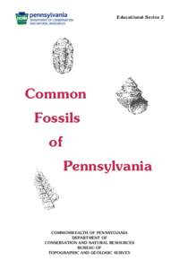 Common Fossils of Pennsylvania