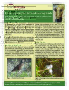 SPFeral Hogs Impact Ground-nesting Birds Jared Timmons, James C. Cathey, Dale Rollins, Nikki Dictson, and Mark McFarland* Texas AgriLife Extension Service