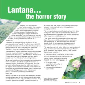 Lantana…  the horror story Lantana - the perfumed and colourful garden plant - has a leading