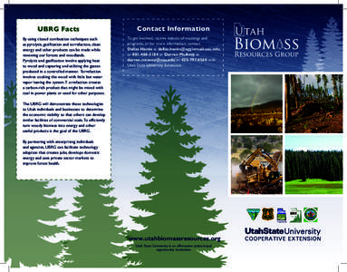 UBRG Facts By using closed combustion techniques such as pyrolysis, gasification and torrefaction, clean energy and other products can be made while renewing our forests and woodlands. Pyrolysis and gasification involve 