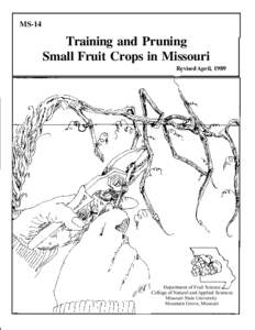 MS-14  Training and Pruning Small Fruit Crops in Missouri Revised April, 1989