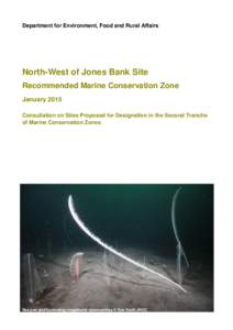 Department for Environment, Food and Rural Affairs  North-West of Jones Bank Site Recommended Marine Conservation Zone January 2015 Consultation on Sites Proposed for Designation in the Second Tranche