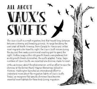 All About  Vaux’s Swifts The Vaux’s Swift is a small migratory bird that travels long distances between wintering and breeding grounds. Its range lies along the