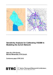 Sensitivity Analysis for Calibrating VISSIM in Modeling the Zurich Network Qiao Ge, ETH Zurich Monica Menendez, ETH Zurich Conference paper STRC 2012