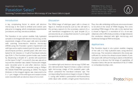 Applica tion N ot e  Poseidon Select™ Scanning Transmission Electron Microscopy of Live Yeast Cells in Liquid