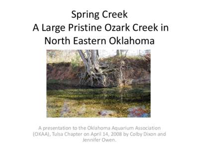 Spring Creek A Large Pristine Ozark Creek in North Eastern Oklahoma A presentation to the Oklahoma Aquarium Association (OKAA), Tulsa Chapter on April 14, 2008 by Colby Dixon and